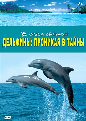 Дельфины: Проникая в тайны