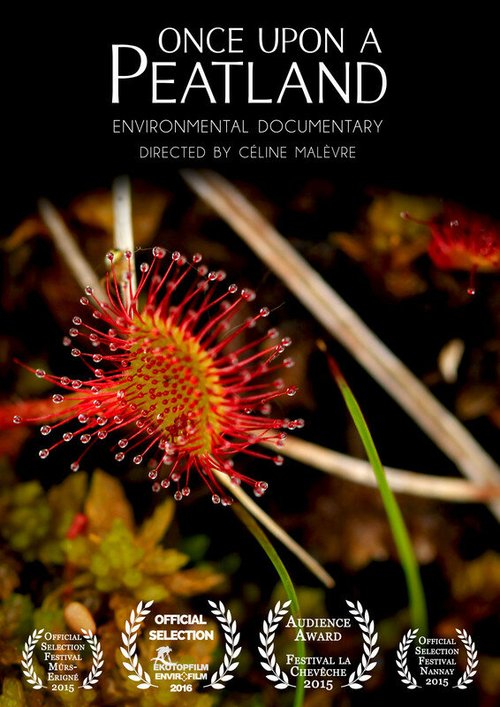 Однажды в стране торфяников