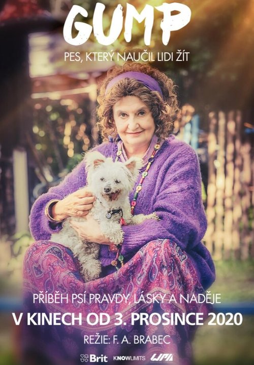 Gump - pes, který naucil lidi zít